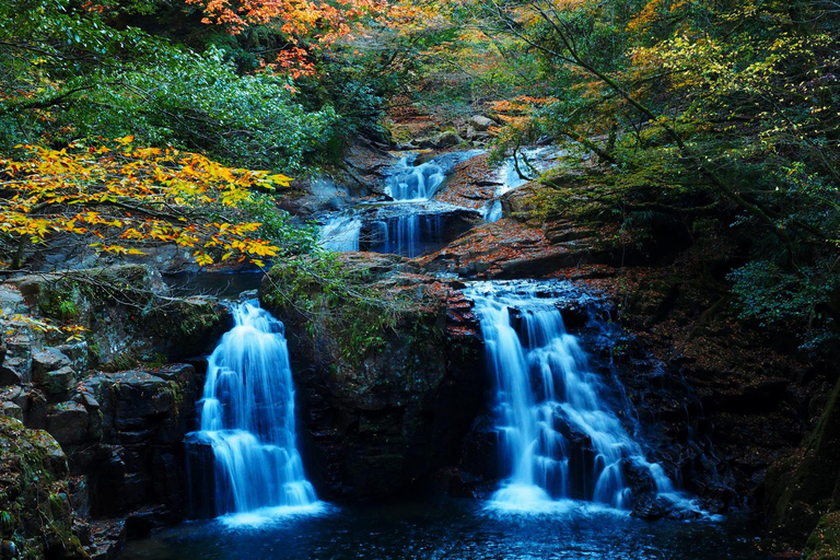 Nagoya: Soni Highlands & Akame 48 Waterfalls Guided Hike