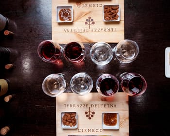 Mount Etna: Wine Tasting at an Ancient Palmento