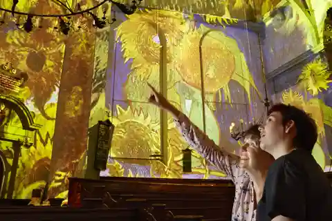 Amsterdam: Van Gogh & Rembrandt – kiehtova kokemus Sisäänpääsy