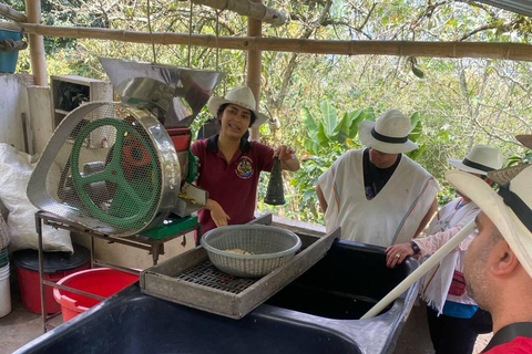 Bogotá: Choachí Farm-to-Cup Coffee Day Trip with Cupping