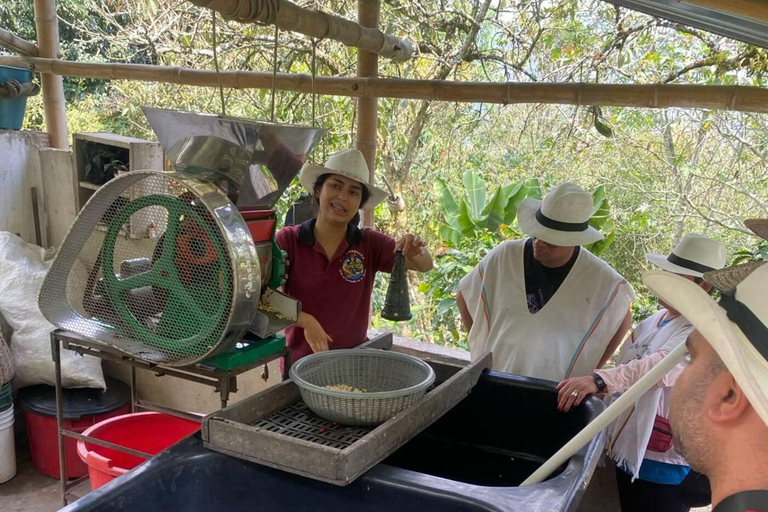 Bogotá: Choachí Farm-to-Cup Coffee Day Trip with Cupping