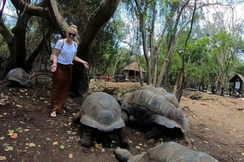 Mnemba island, jozani forest and Prison island