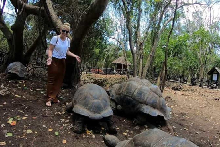 Mnemba island, jozani forest and Prison island