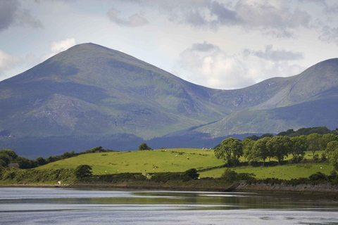 From Belfast: Scenic East Coast Transfer to Dublin From Dublin: Scenic East Coast Transfer to Belfast