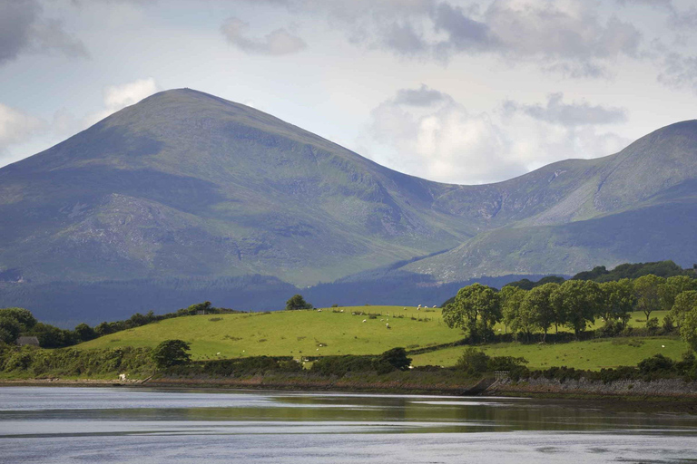 From Belfast: Scenic East Coast Transfer to Dublin From Dublin: Scenic East Coast Transfer to Belfast