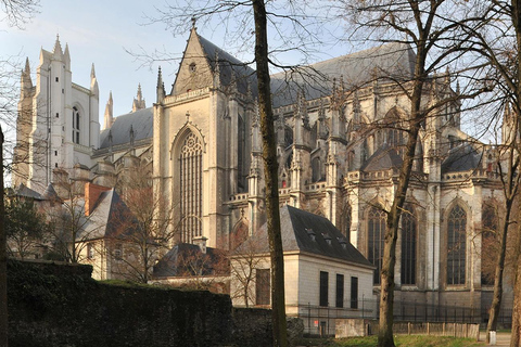 Nantes: 90-minute tour of St. Peter and St. Paul Cathedral with a professional guide