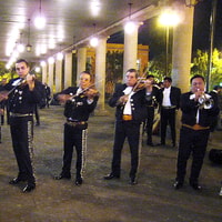 Garibaldi by Night with Dinner at Bellini - Housity