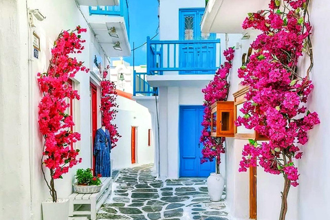 Private Tour: Customize Your Perfect Day in Mykonos