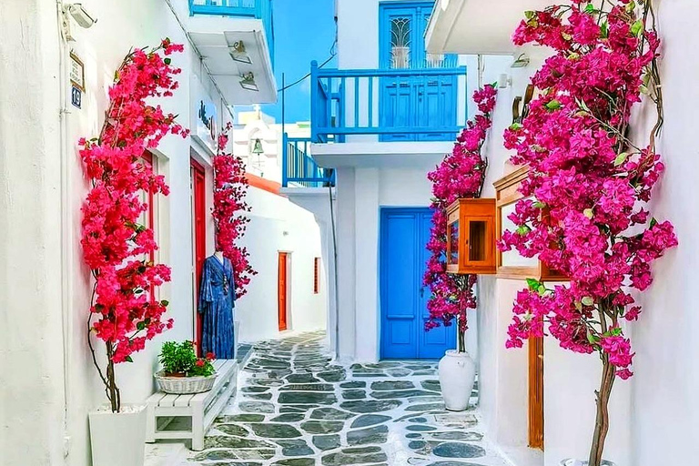 Private Tour: Customize Your Perfect Day in Mykonos