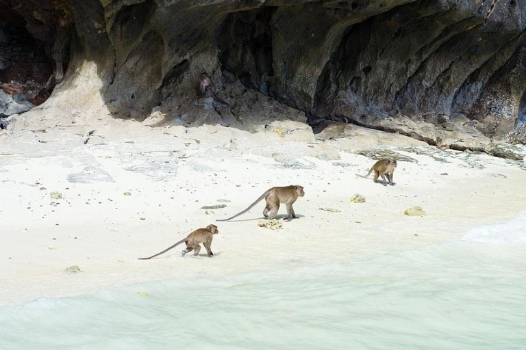 Phuket: Phi Phi & Khai island Small Group Speedboat Tour Meeting Point