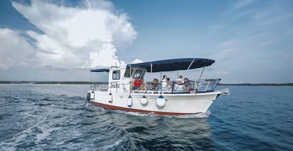 FAŽANA: Bootsfahrt nach Brijuni + Stopp & Schwimmen auf der Insel St. Jerolim