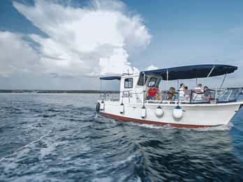 Fažana: Sail like a president with Brijuni Panorama