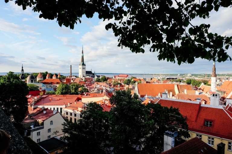Tallinn: Privé Architectuur Tour met een lokale expert