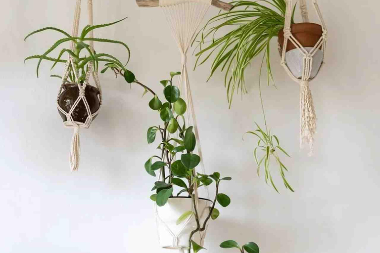 Leipzig: Macrame Plant Hanger or Hanging Shelf Workshop
