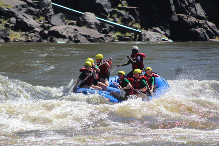 Half Day Zambezi Whitewater Rafting