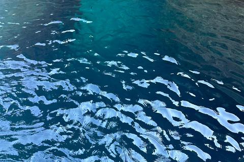 Boat tour of Capri from Nerano/Positano/Praiano (Copy of) Boat tour of Capri from Amalfi Coast