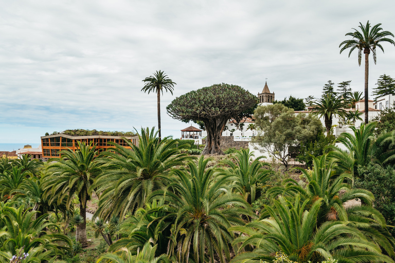 Icod de los Vinos: entrada al árbol del dragón y al jardín botánico