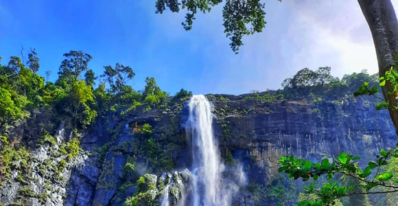 From Ella: 220m Diyaluma Waterfall Tour & Natural Pool Swim