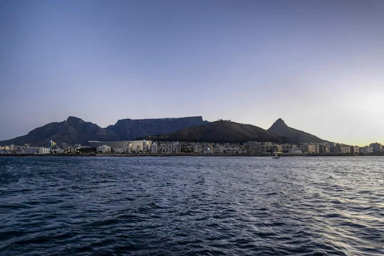 Cape Town: 3-Hour Private Luxury Yacht Charter with Drinks