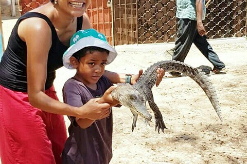 Visite de la ville de Mombasa avec l&#039;expérience des crocodiles du village de Mamba.