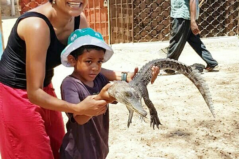 Mombasa: Mamba Village Crocodiles Feeding Experience Tour.