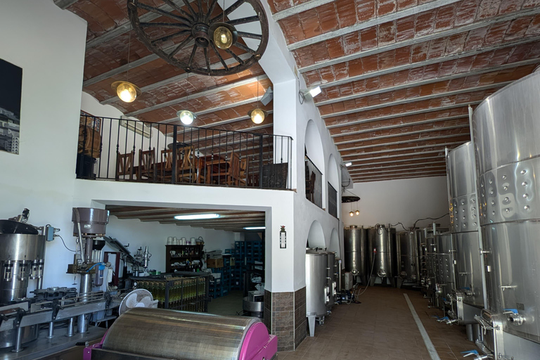 Ibiza: Winery Tour + Tasting Experience with Pickup/Dropoff