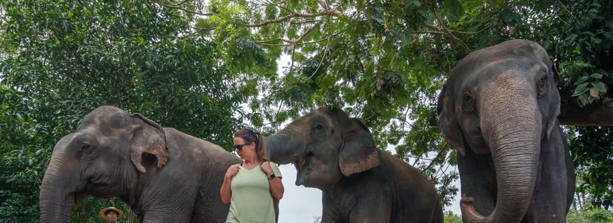 Parc de Phnom Kulen : Visite de la forêt d'éléphants depuis Siem Reap