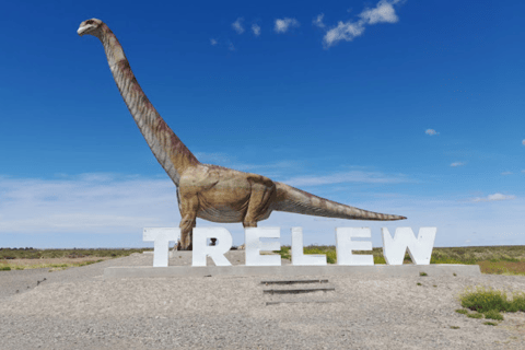 Valley + Paleontological Museum for cruise passengers