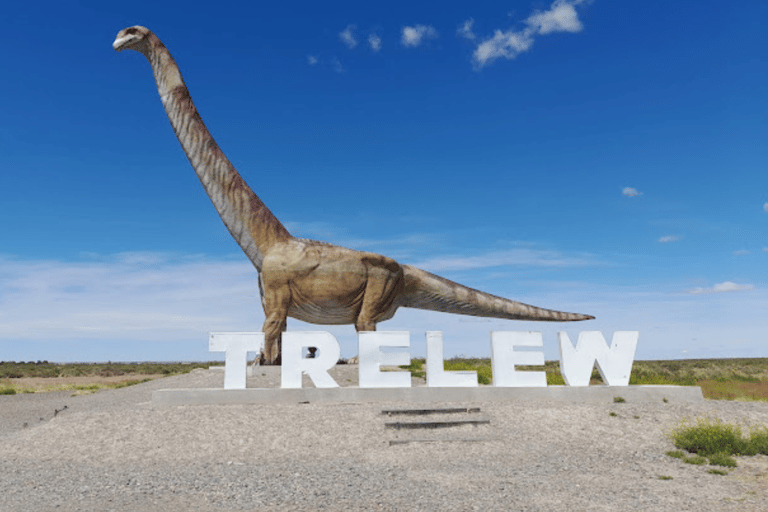 Valley + Paleontological Museum for cruise passengers