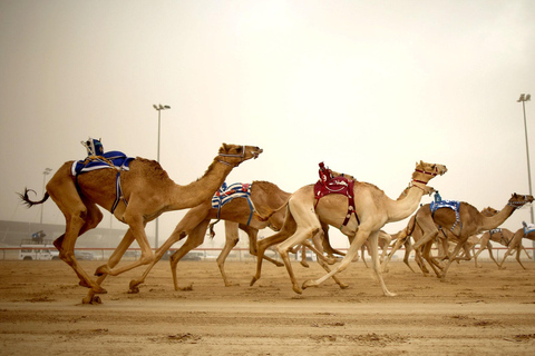 Doha: West Coast Tour, Zekreet and Richard Serra Sculpture