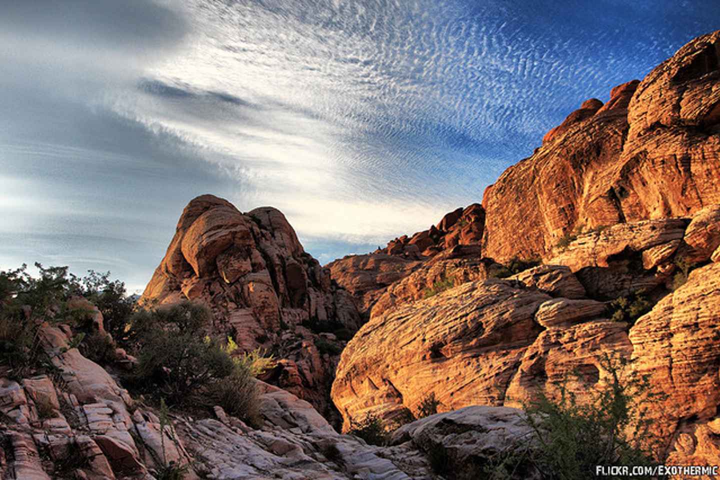 explore red rock canyon national conservation area