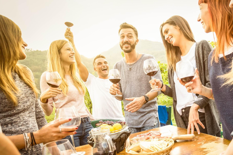 Día completo al Valle del Duero desde OportoDuero para explorar