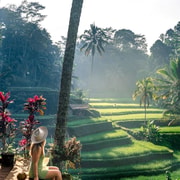 Bali: Sukawati Temple, Waterfall, Traditional House & Rice