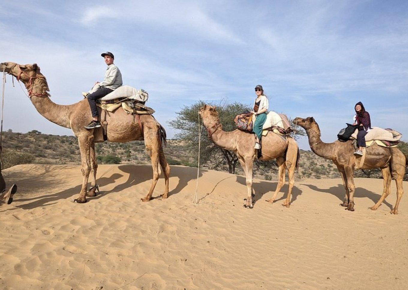 Jodhpur: Übernachtung in der Wüste mit Kamelsafari