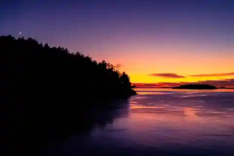 Bioluminescence Night Paddle