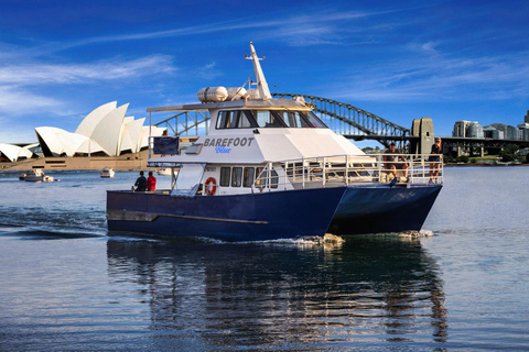 Sydney: Malerische Whale-Watching-Bootsfahrt – Wale garantiertSydney: Malerische Whale-Watching-Bootsfahrt