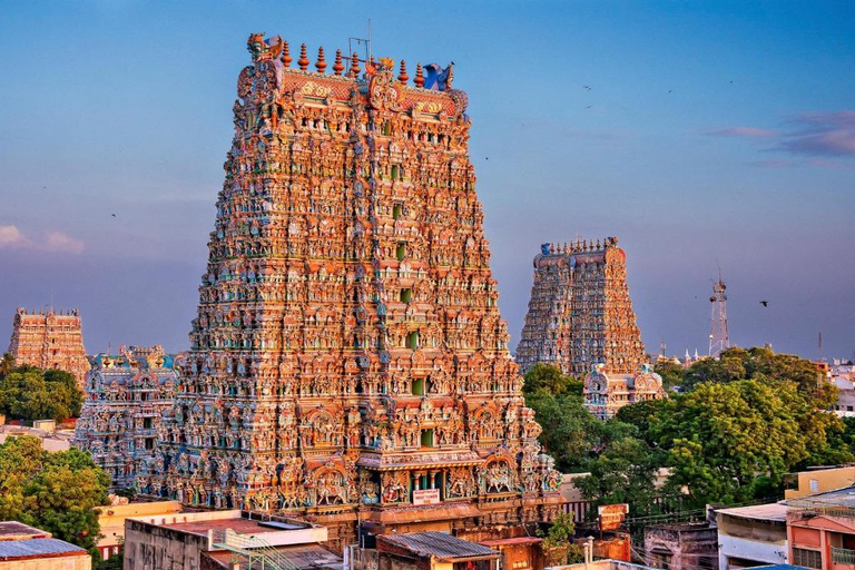 Chennai: 8-Day Fully Guided Tour of South India