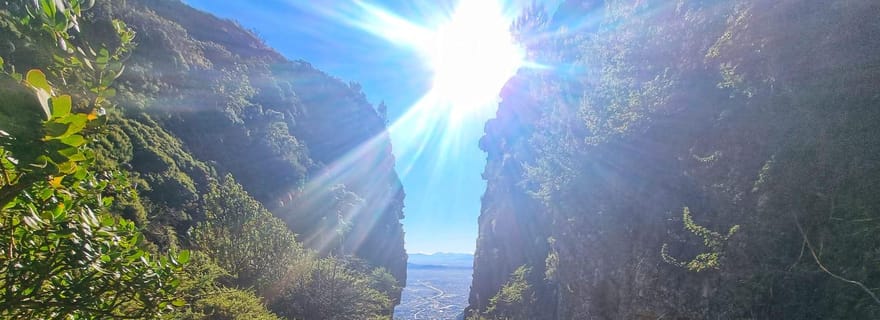 Randonnée en groupe sur la montagne de la Table - Les voyageurs individuels sont les bienvenus