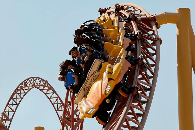 From Dubai/Sharjah: Abu Dhabi City Tour with Transfers