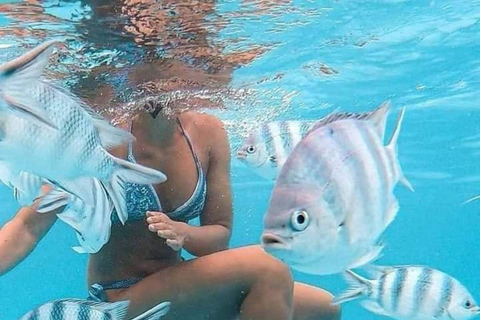 زنجبار: الغطس في البحيرة الزرقاء وجولة في أسماك النجوم