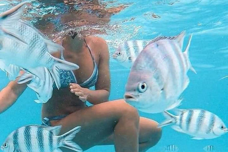 زنجبار: الغطس في البحيرة الزرقاء وجولة في أسماك النجوم