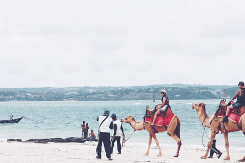 Bali: Przejażdżka na wielbłądzie po plaży Kelan30 minut jazdy