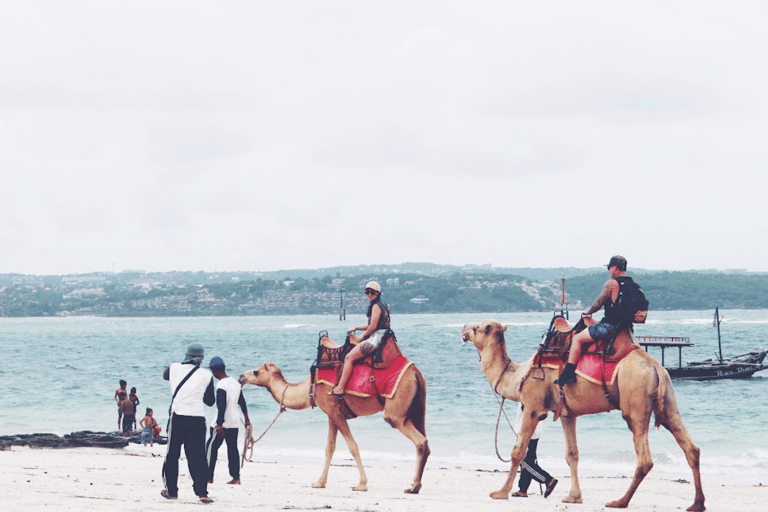 Bali: Kelan Beach Camel Rides Experiences30 Minutes Ride