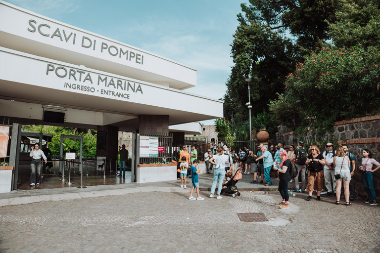 Pompéi et le Mont Vésuve : Visite guidée en petit groupe