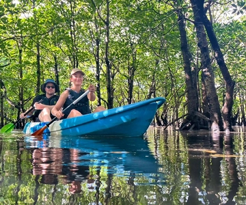 Iriomote adası: Mangrove Nehri SUP veya Kano Turu
