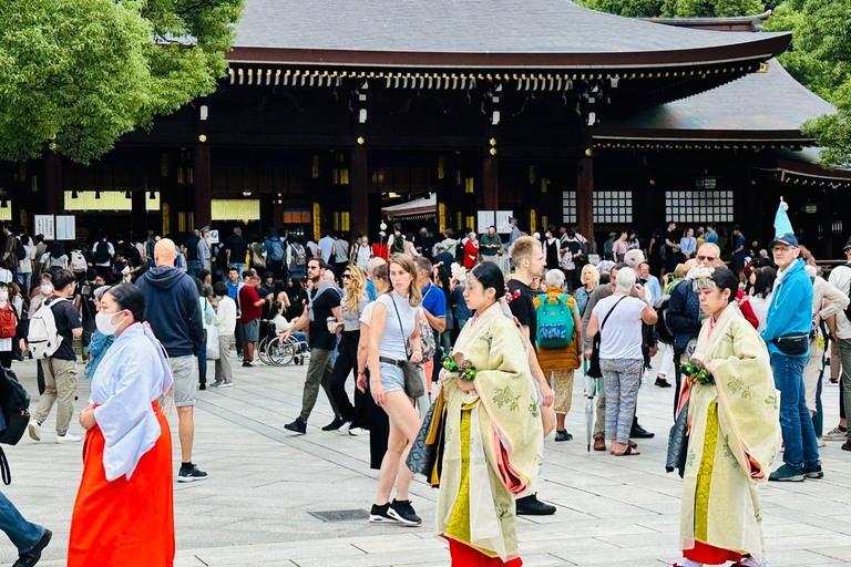 Tokyo: Private Tailored Tour with a Local Guide (2 hours) Tokyo: Private Tailored Tour with a Local Guide