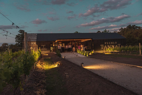 From Colonia: Pueblo Tannat Winery Experience Wine & Cheese Tasting