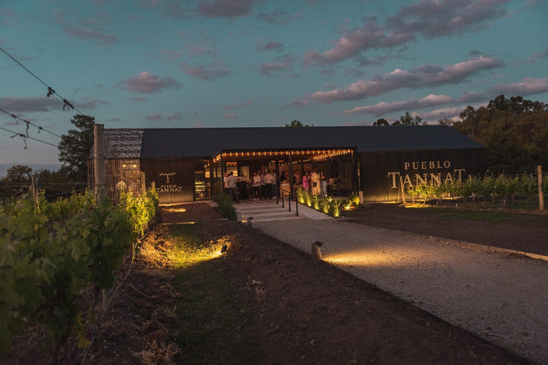 From Colonia: Pueblo Tannat Winery Experience Wine & Cheese Tasting