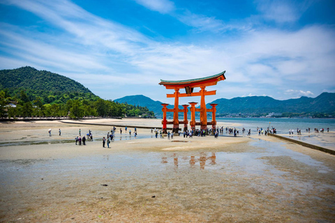Tokyo: 8-Day Tour with Fuji, Kyoto, Nara, Hiroshima & Osaka Day 8 - Osaka Highlights (Spanish)