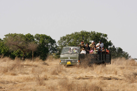 从斋浦尔出发：Ranthambore 出租车之旅从斋浦尔出发：乘坐出租车游览兰特汉博尔